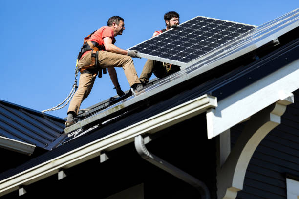 Best Roof Moss and Algae Removal  in Herlong, CA