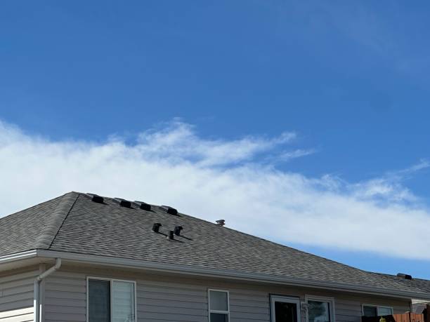 Best Skylights  in Herlong, CA